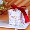 Caja de Dulces Caja de Dulces Estilo Pastoral Personalizada Celebridad de Internet Caja de Dulces de Compromiso Caja de Embalaje para Bolsas de Dulces de Lujo Caja de Regalo Caja Vacía