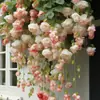 Las semillas de flor de ciruelo son fáciles de cultivar como plantas trepadoras, florecen en las cuatro estaciones y son adecuadas tanto para interiores como para exteriores.