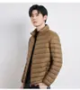 90% Penugem Jaqueta de Penugem com Gola Alta Masculina Leve Curta Tamanho Grande Leve Estilo Ocidental Jaqueta de Penugem de Pato Branco Jaqueta de Penugem Pinghu Atacado