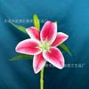 3D una flor dos capullos W Lirio película de impresión 3D flor de lirio arreglo floral para salón de bodas decoración del hogar flor de lirio de simulación