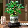 Bonsai Bodhi com Frutas, Bonsai de Raiz Antiga de Árvore Bodhi, Estilo Zen Chinês, Planta Verde de Fácil Cuidado para Mesa de Escritório