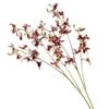 Flor Simulada Color Maillard Otoño Fénix Mariposa Orquídea Suministro de Ultramar Muestra para el Hogar Decoración de Paisaje de Boda Al por Mayor