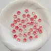 Flores Pequeñas Bicolor con Borde Dorado y Plateado y Brillo Metálico, Brillan en la Oscuridad, Materiales Hechos a Mano para DIY, Pasador de Pelo, Accesorio para el Cabello, Accesorios para Ramilletes