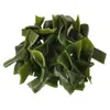 Kelp Salgado de Haste Curta Espesso Selvagem Fresco Seco Parcialmente 2,5kg Pacote