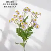 Flores Simuladas, Manzanilla, Plantas Verdes Artificiales, Artesanías para Decoración de Bodas al por Mayor, Estilo Ins, Fabricante Transfronterizo de Flores Artificiales