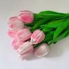 Flor Artificial Tulipán Accesorios para Fotografía de Boda Decoración del Hogar Mini Pu Día de San Valentín Adornos de Flores Artificiales Transfronterizo