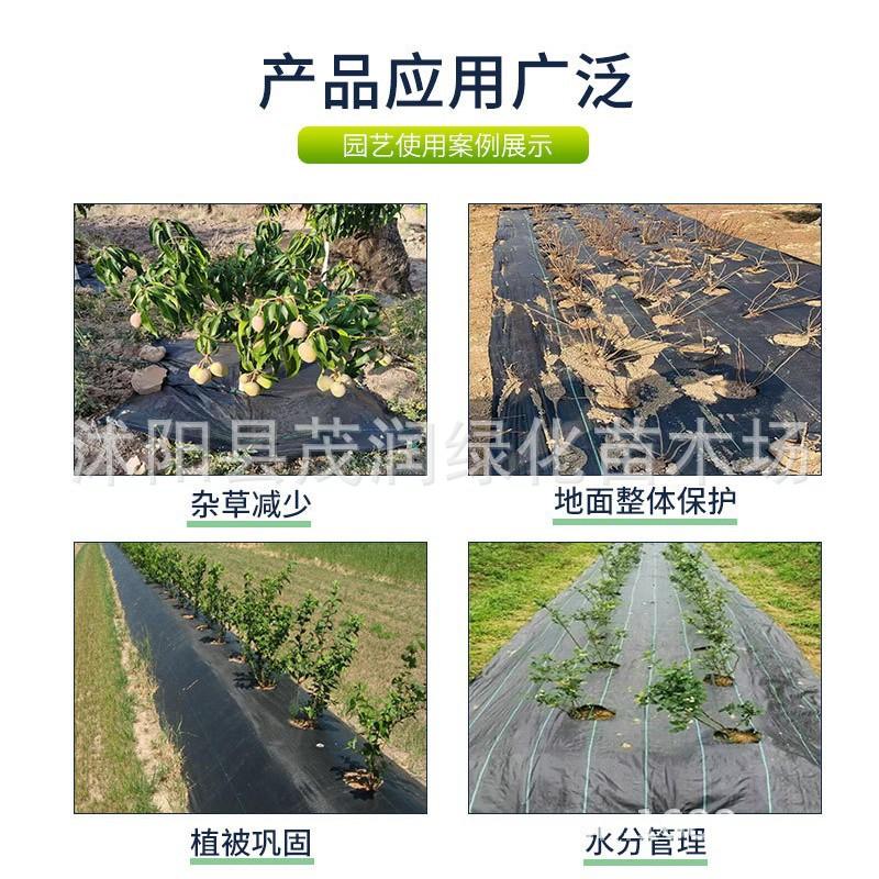 防草布010