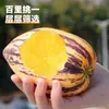 Gansu Minqin Fruta de Ginseng Fruta Grande 4.5kg Pulpa Amarilla Fruta de Ginseng Fruta Larga Fruta Redonda Fruta Fresca Precio de Mayoreo