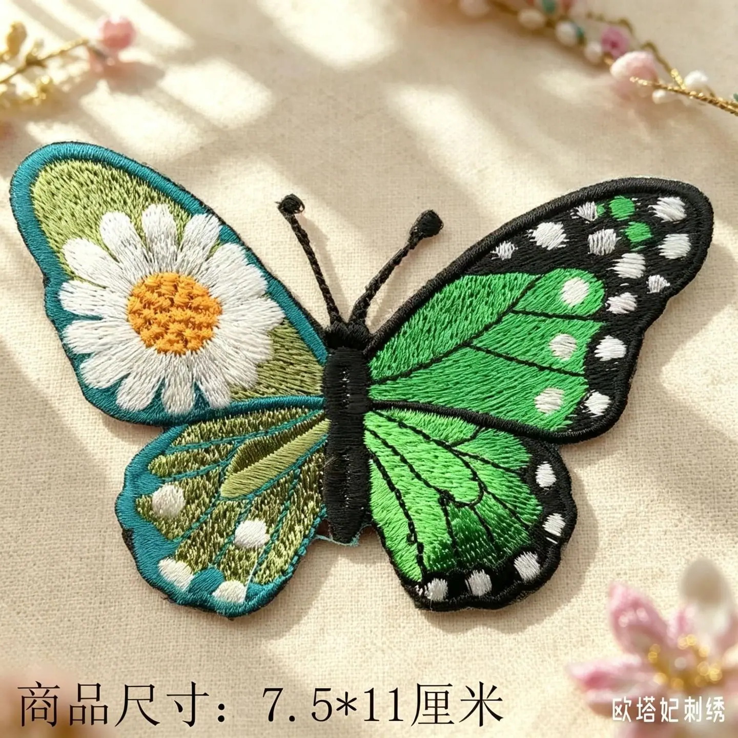 雏菊蝴蝶 (3).png
