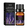 Aceite de Masaje de Aceite Vegetal de Fuente Local Aceite Esencial Suave e Hidratante Superventas Transfronterizo Aceite de Masaje Corporal 10ml