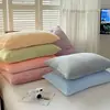 Funda de almohada de terciopelo de leche estilo blogger Ins, pieza única, invierno, engrosada, cálida, terciopelo de coral, funda versátil para núcleo de almohada, 48*74, artículo único