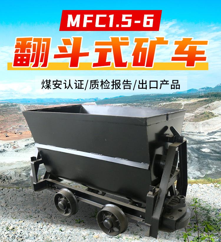 MFC1_01.jpg