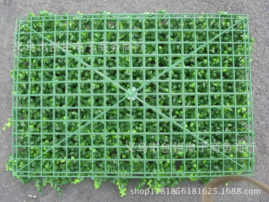 金钱6X4