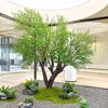 Árbol de Oliva de Gama Alta Grande de Pie Planta Verde Simulada Decoración de Paisaje Interior y Exterior Ventana Elegante Sala de Té Paisajismo Árbol Falso