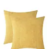Funda de almohada de chenilla de doble cara para sofá, funda sin relleno, cojín para cabecera, cojín de respaldo de oficina, funda de almohada lumbar al por mayor