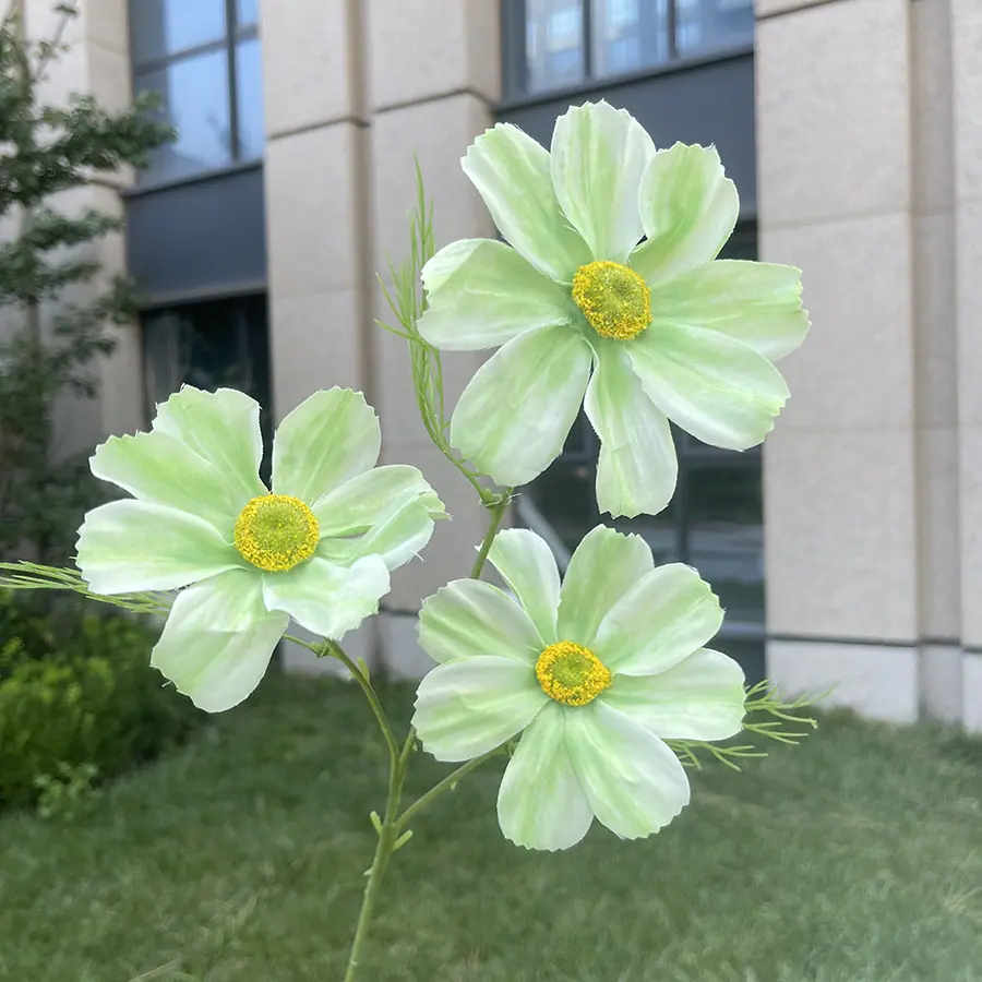 3头彩印格桑花-xhmgyx-绿色.JPG