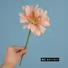 Violeta africana de un solo tallo, de aspecto fresco y realista, perfecta para decoración del hogar, plantas de oficina, accesorios de fotografía y decoraciones festivas