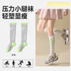 Meias Profissionais de Badminton Xiaowu, Outono Fino com Compressão na Panturrilha, Meias Esportivas Longas Femininas, Meias Longas para Estudantes