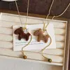 Cavalo Fofo~ Colar de Pônei de Veludo Cor de Café para Mulheres, Versátil para Outono e Inverno, Corrente de Suéter com Acessórios de Design Único