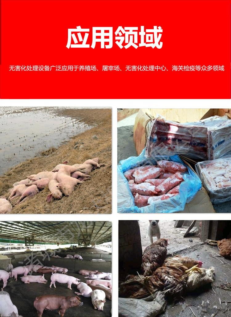 666645_副本
