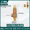 Calentador de Agua Eléctrico Haier Midea Tubería de Agua Válvula de Alivio de Presión Automática Válvula de Seguridad Caldera Tanque de Gas Compresor de Aire Vapor de Escape