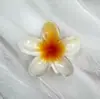 Grampo de Cabelo Flor Plumeria de Fornecimento Transfronteiriço, Cor Degradê, Acessório de Cabelo da Moda para Feriados Femininos, Venda Quente, para Penteados Updo, Presilha Jacaré