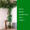 Folhas, galhos, videiras, flores artificiais, trepadeiras, canos, pilares, plantas trepadeiras, plantas verdes, plantas de parede, cobrindo imperfeições, decorações
