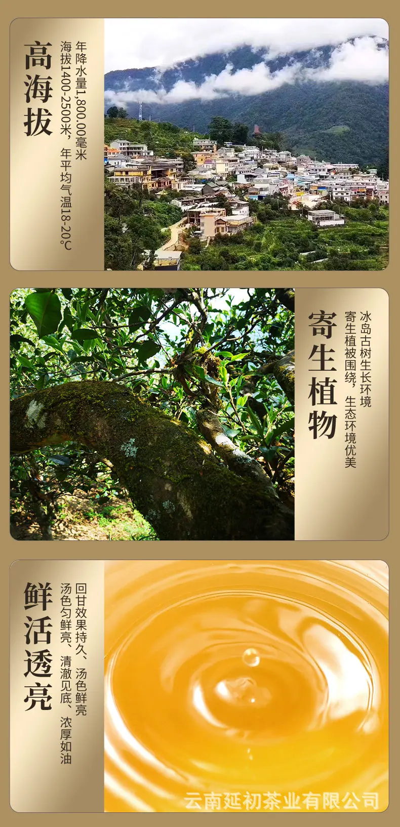 冰岛生茶_03.jpg