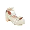 Zapatos Berry Sweetheart para Mujer Estilo Hada Lolita Correa Cruzada Lolita Japonesa Moño Tacón Alto Grueso Zapatos Lo para Fiesta de Té