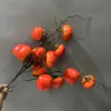 2 cabeças de caqui 2 cabeças de romã frutas vermelhas flor anual ornamentos de frutas ricas ornamentos decorativos de frutas arranjo de flores de espuma flor artificial