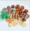 Fruta Fixa Natural Planta Fruta Casca Espécime Material Decoração Flores Secas Fatias Jardim de Infância DIY Pacote de Material de Natal