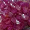 Nuevos accesorios de material de cuentas acrílicas de 18 mm, degradado jelly, pétalos de flor de cerezo, para manualidades DIY (solo pétalos)