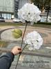 Hortensia verde de simulación de 2 cabezas Fabricantes Hortensia Xiyan de 2 cabezas blanca boda guía de camino decoración suave flor artificial al por mayor