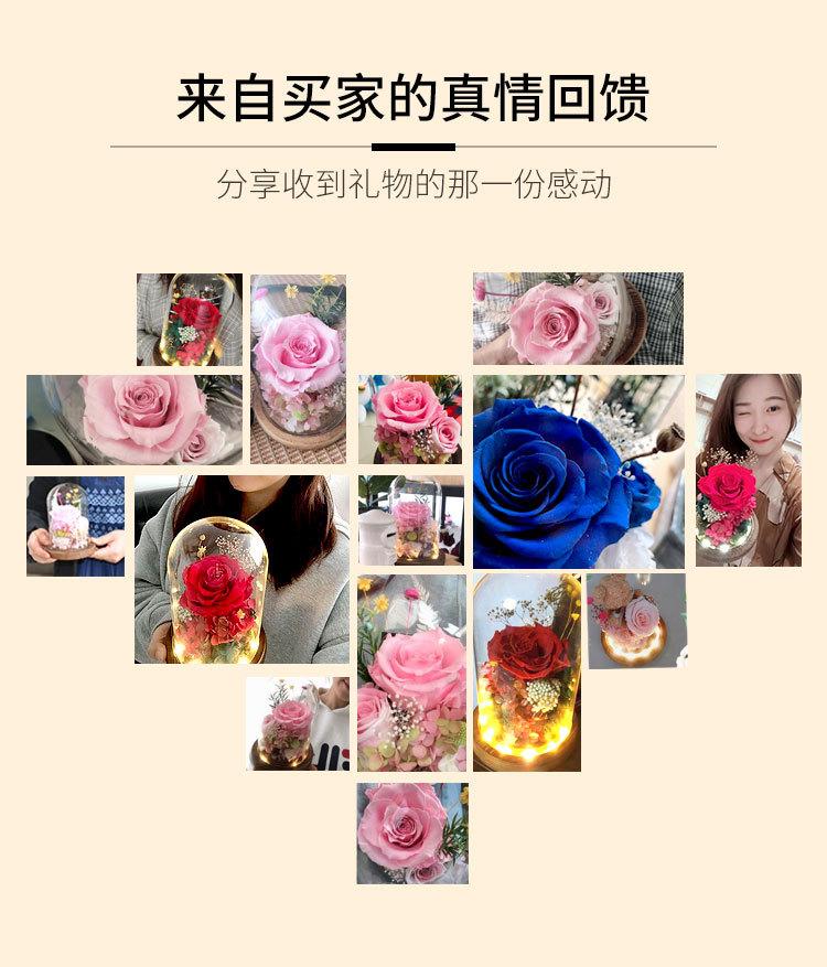 情节人礼物送女友