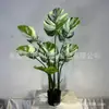 Planta de bambu em vaso artificial de tartaruga albina, plantas verdes falsas de encaixe suave, decoração de paisagismo para janela interna, varanda, piso, bonsai estilo europeu