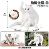 Traje de modelo de gato animal de simulación para niños, juego de gato, gatito, modelo de gatito blanco y negro, juguetes, adornos