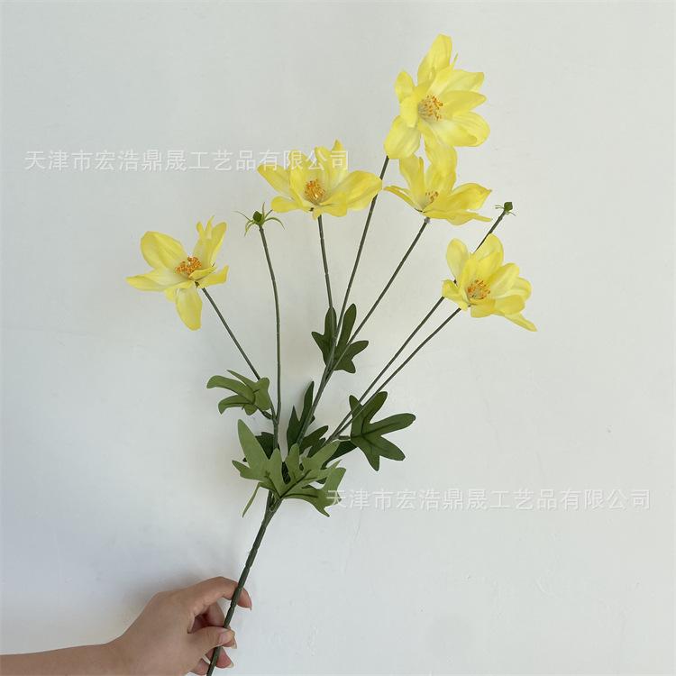 微信图片_202208311711012