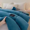 Leite de Inverno Fleece Edredom de Inverno Dormitório Estudantil Edredom de Primavera e Outono Dupla Face Fleece de Coral Edredom de Algodão Adicionado Fleece Espessado Núcleo de Edredom Quente