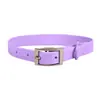En stock mascota caliente cuatro piezas pecho y espalda anti-mordedura impermeable perro correa de pecho táctica perro collar cuerda de tracción PVC