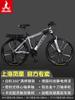 Bicicleta de Montanha Phoenix Masculina e Feminina Adolescentes Adultos Estudantes do Ensino Fundamental Velocidade Variável Super Rápida Leve Ciclismo de Corrida