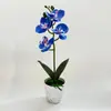 Orquídea Phalaenopsis Artificial Planta en Maceta de 4 Flores Set Adorno Decorativo para Sala de Estar Decoración de Planta en Maceta de Orquídea Phalaenopsis Planta Artificial