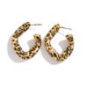 Moda Transfronteriza Europea y Americana Estilo Ins Pendientes Colgantes Sexys con Estampado de Leopardo para Mujer Pendientes Geométricos Irregulares en Forma de C de Resina Creativa