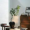 Plantas de interior de escritorio Liuchuanfeng para salas de té, plantas verdes de inspiración zen, bonsáis de nuevo estilo chino, plantas en maceta decorativas para vestíbulos y oficinas