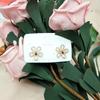 Brincos de Prata 925 Agulha Flor de Cinco Pétalas Strass Moderno Elegante Cravejado de Diamantes Joaninha Fofa Cristais