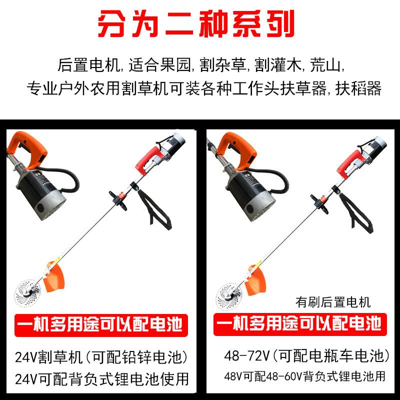 加一张.jpg