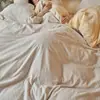 Conjunto de Cama de Quatro Peças em Lã Leite com Artesanato Esculpido de Luxo Leve para Outono e Inverno Armazenamento de Calor e Aquecimento Suprimento para Transmissão ao Vivo Dropshipping