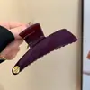 Sentido del diseño ~ pinza de pinza de alta gama para el principio de la primavera, pinza de tiburón de alta gama para mujer, nuevo pinza para el pelo de la cabeza trasera 2025