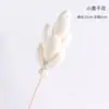 Xiangmanwu DIY Difusor de Aroma Flores Secas Adornos de Flores Secas para Hotel Habitación Modelo de B&B Flores Difusoras de Aceite Esencial