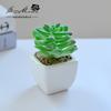 Suculenta Pequeño Bonsái Cerámica Muebles para el Hogar Decoración Fabricante de Jinhua Plantas Verdes Aliexpress Flor Artificial Plantas en Maceta
