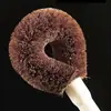 Cepillo para Ollas de Palmera de Coco con Mango de Madera, Cepillo de Madera para Cocina, Estropajo para Ollas, Cepillo para Ollas de Mango Largo, Cepillo para Limpiar Platos, Tienda de un Dólar